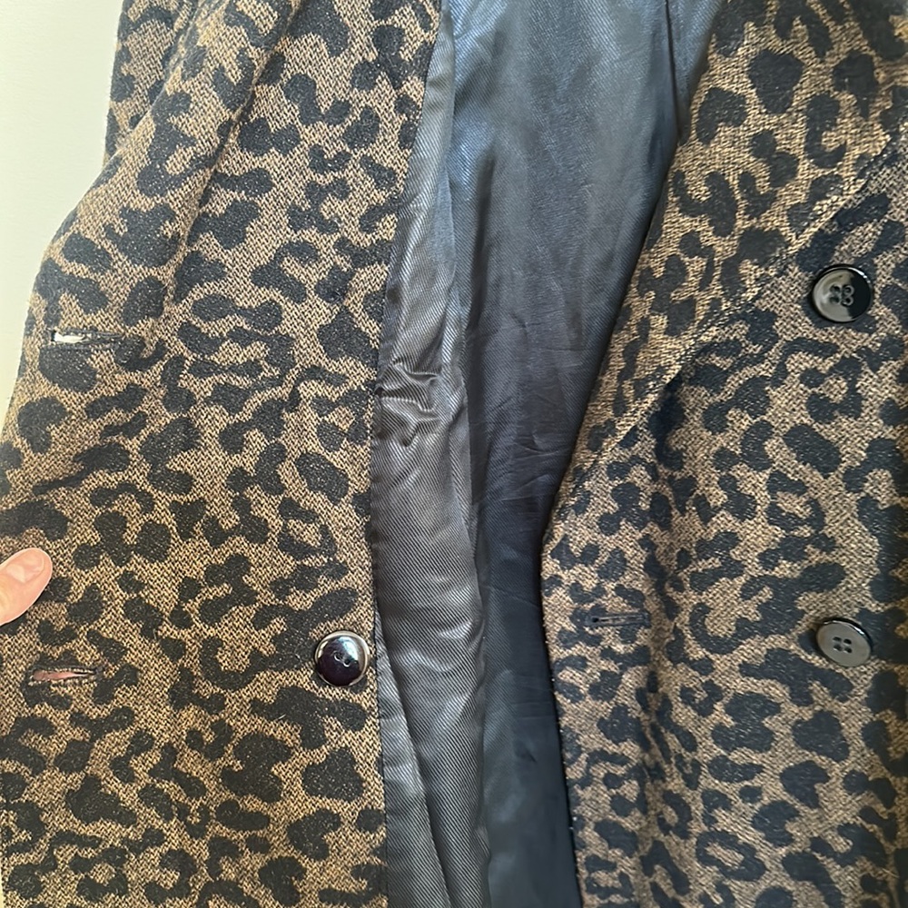 Zara - Picture 7 of 8